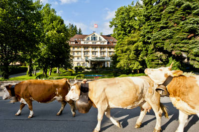 Le Grand Bellevue, Gstaad