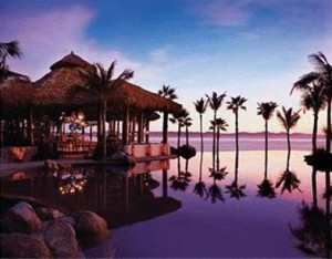 one and only palmilla
